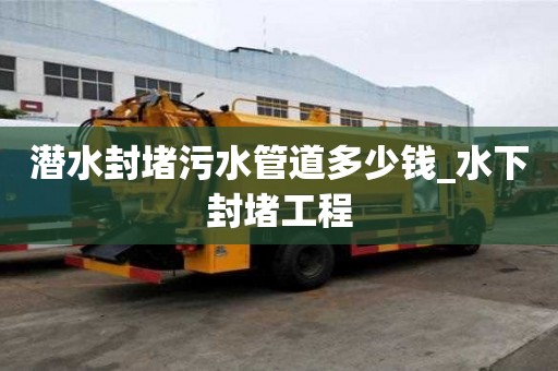 潜水封堵污水管道多少钱_水下封堵工程