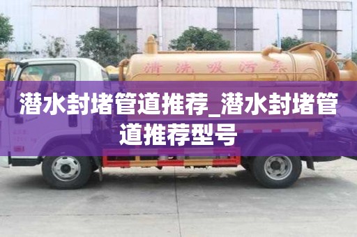 潜水封堵管道推荐_潜水封堵管道推荐型号
