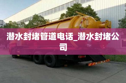 潜水封堵管道电话_潜水封堵公司