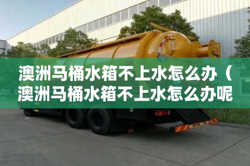 澳洲马桶水箱不上水怎么办（澳洲马桶水箱不上水怎么办呢）