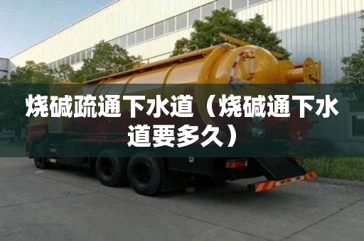 烧碱疏通下水道（烧碱通下水道要多久）