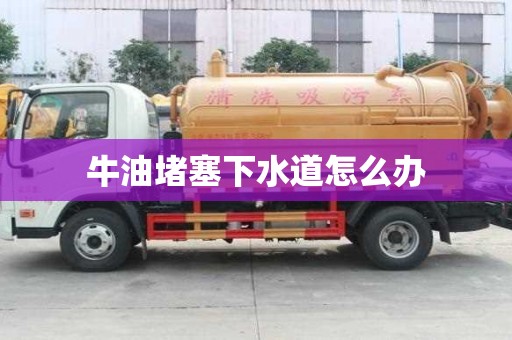 牛油堵塞下水道怎么办