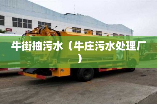 牛街抽污水（牛庄污水处理厂）