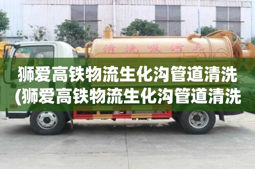 狮爱高铁物流生化沟管道清洗(狮爱高铁物流生化沟管道清洗费用多少)