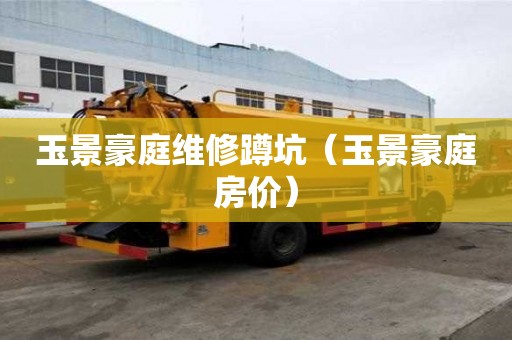 玉景豪庭维修蹲坑（玉景豪庭房价）