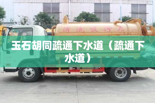 玉石胡同疏通下水道（疏通下水道）
