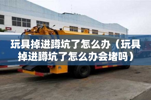 玩具掉进蹲坑了怎么办（玩具掉进蹲坑了怎么办会堵吗）