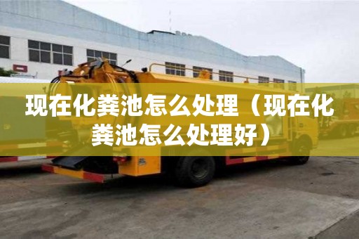 现在化粪池怎么处理（现在化粪池怎么处理好）
