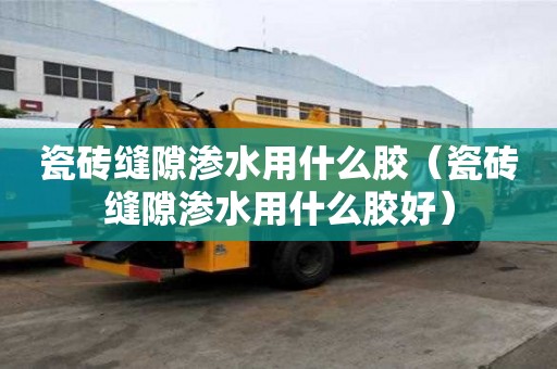 瓷砖缝隙渗水用什么胶（瓷砖缝隙渗水用什么胶好）