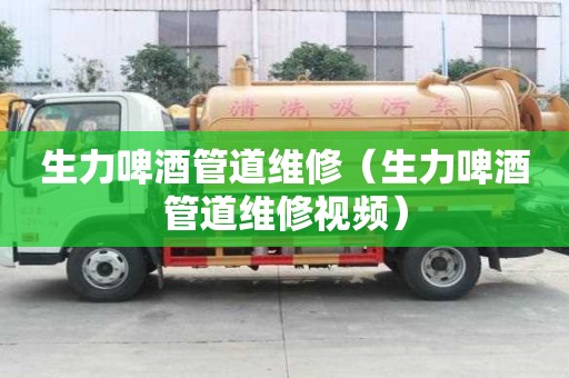 生力啤酒管道维修（生力啤酒管道维修视频）