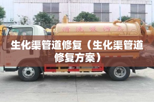 生化渠管道修复（生化渠管道修复方案）