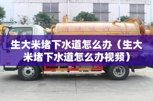 生大米堵下水道怎么办（生大米堵下水道怎么办视频）