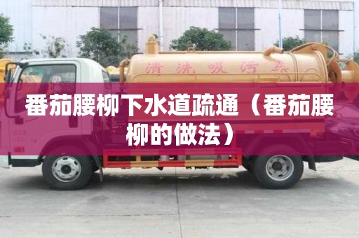 番茄腰柳下水道疏通（番茄腰柳的做法）