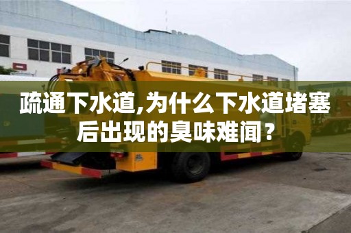 疏通下水道,为什么下水道堵塞后出现的臭味难闻？