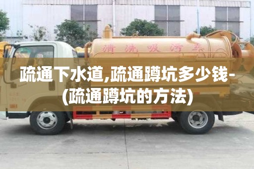 疏通下水道,疏通蹲坑多少钱-(疏通蹲坑的方法)