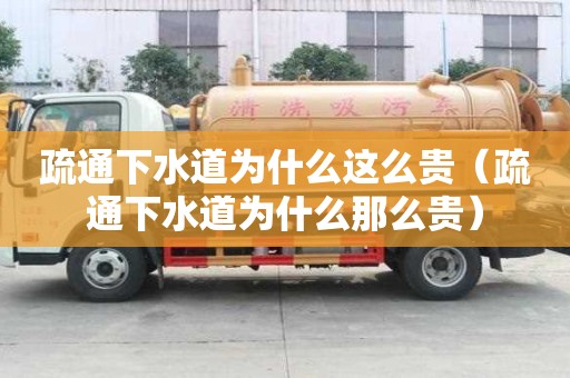 疏通下水道为什么这么贵（疏通下水道为什么那么贵）