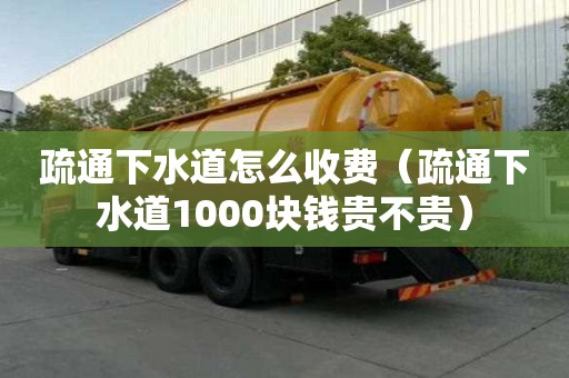 疏通下水道怎么收费（疏通下水道1000块钱贵不贵）