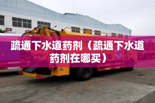 疏通下水道药剂（疏通下水道药剂在哪买）