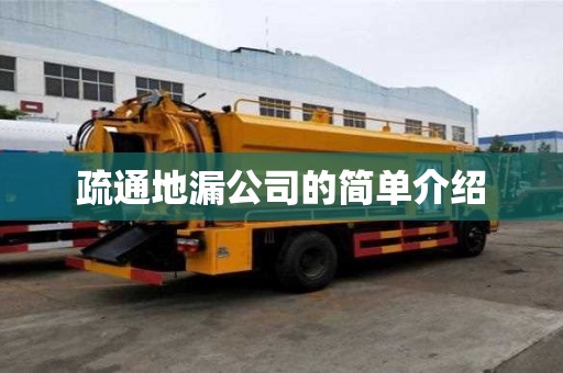 疏通地漏公司的简单介绍