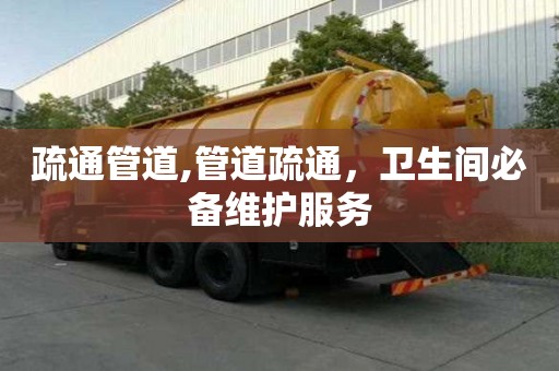 疏通管道,管道疏通，卫生间必备维护服务