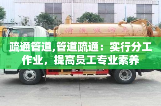 疏通管道,管道疏通：实行分工作业，提高员工专业素养