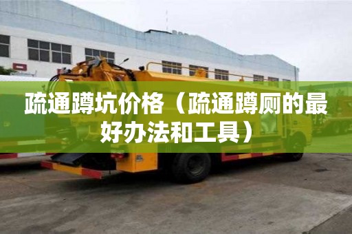 疏通蹲坑价格（疏通蹲厕的最好办法和工具）