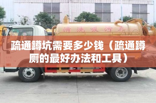 疏通蹲坑需要多少钱（疏通蹲厕的最好办法和工具）