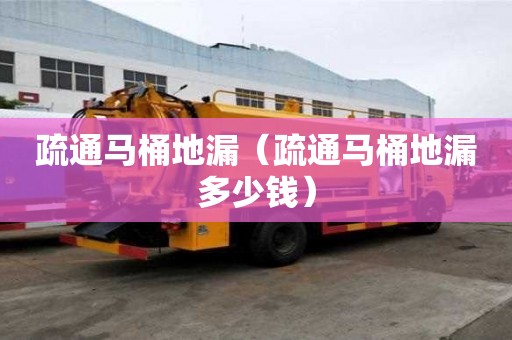 疏通马桶地漏（疏通马桶地漏多少钱）