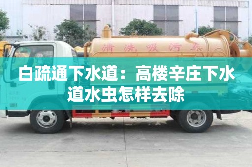 白疏通下水道：高楼辛庄下水道水虫怎样去除