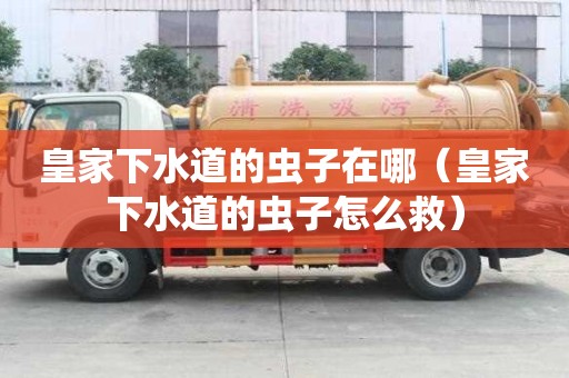 皇家下水道的虫子在哪（皇家下水道的虫子怎么救）