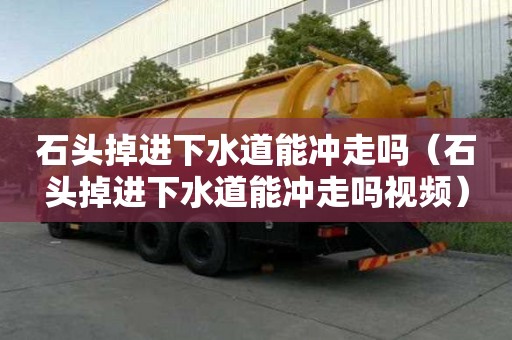 石头掉进下水道能冲走吗（石头掉进下水道能冲走吗视频）