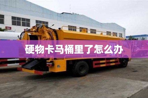 硬物卡马桶里了怎么办