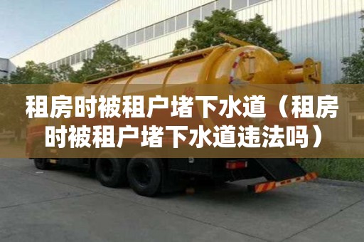 租房时被租户堵下水道（租房时被租户堵下水道违法吗）