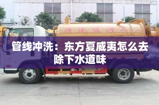管线冲洗：东方夏威夷怎么去除下水道味