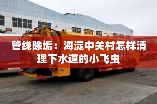 管线除垢：海淀中关村怎样清理下水道的小飞虫