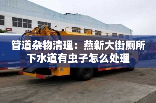 管道杂物清理：燕新大街厕所下水道有虫子怎么处理