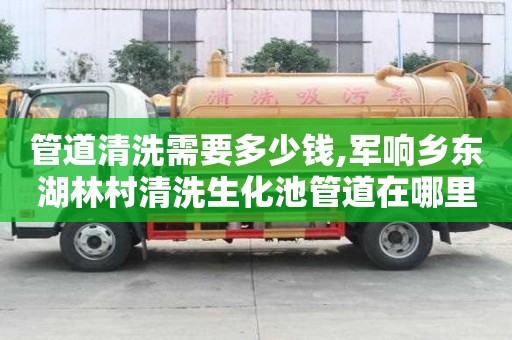 管道清洗需要多少钱,军响乡东湖林村清洗生化池管道在哪里找