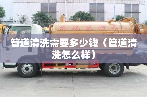 管道清洗需要多少钱（管道清洗怎么样）