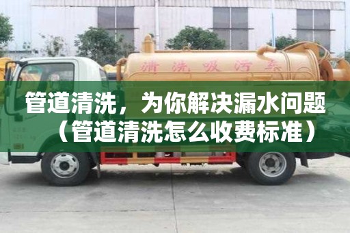 管道清洗，为你解决漏水问题（管道清洗怎么收费标准）