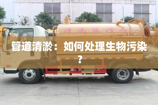 管道清淤:如何处理生物污染? 管道清淤:如何处理生物污染?