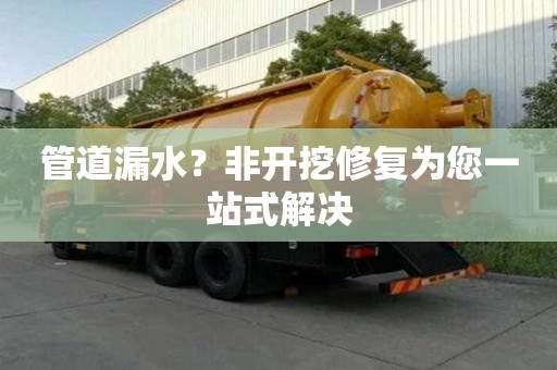 管道漏水？非开挖修复为您一站式解决