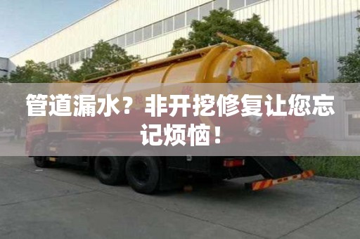 管道漏水？非开挖修复让您忘记烦恼！