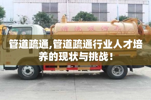 管道疏通,管道疏通行业人才培养的现状与挑战！