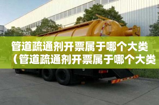管道疏通剂开票属于哪个大类（管道疏通剂开票属于哪个大类类别）