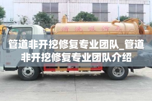 管道非开挖修复专业团队_管道非开挖修复专业团队介绍