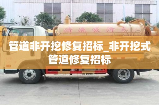 管道非开挖修复招标_非开挖式管道修复招标