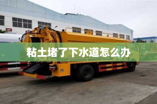 粘土堵了下水道怎么办