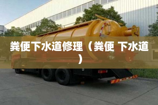 粪便下水道修理（粪便 下水道）