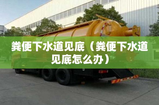 粪便下水道见底（粪便下水道见底怎么办）