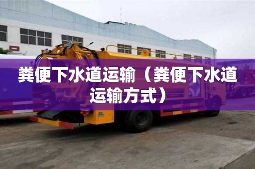 粪便下水道运输（粪便下水道运输方式）